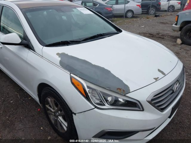 5NPE24AFXHH502166 Hyundai Sonata