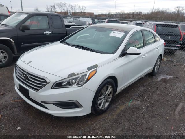 5NPE24AFXHH502166 Hyundai Sonata