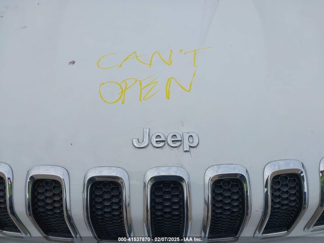 Jeep Cherokee Limited 2016 1C4PJMDS9GW121065 Image 10