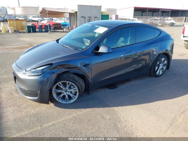 2023 TESLA MODEL Y 7SAYGDEE0PF928836 Photo 1
