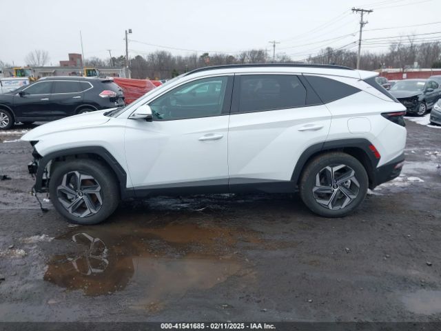 KM8JECD18RU219509 Hyundai Tucson Hybrid Limited