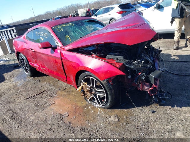 2019 1FA6P8TH3K5117315 main image