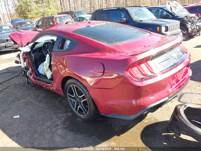 Ford Mustang Ecoboost 2019 1FA6P8TH3K5117315 Image 3