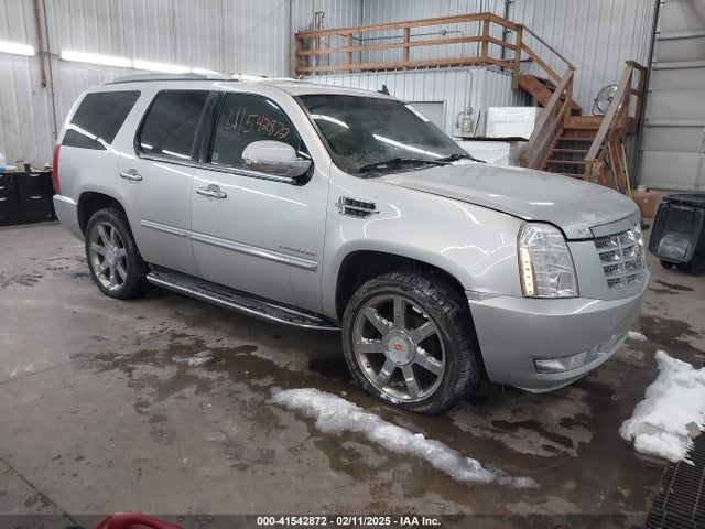 2010 CADILLAC ESCALADE 1GYUKBEF1AR155880 Photo 0