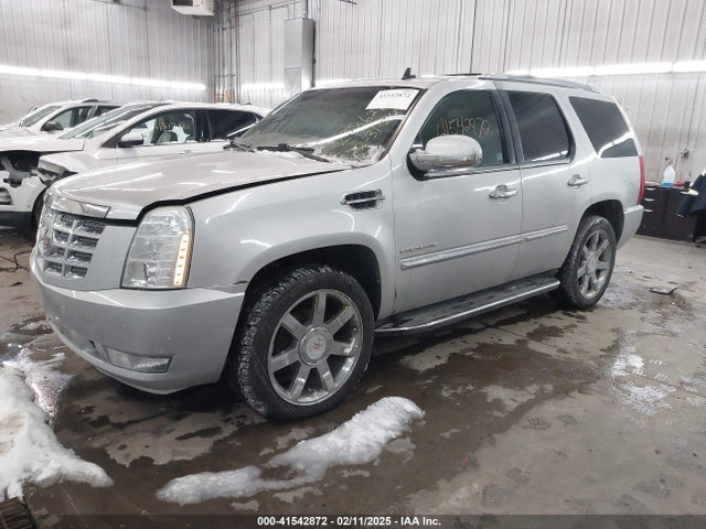 2010 CADILLAC ESCALADE 1GYUKBEF1AR155880 Photo 1