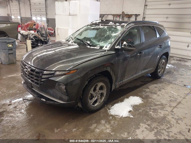 Hyundai TUCSON SEL 2023 5NMJBCAEXPH281504 Image 2