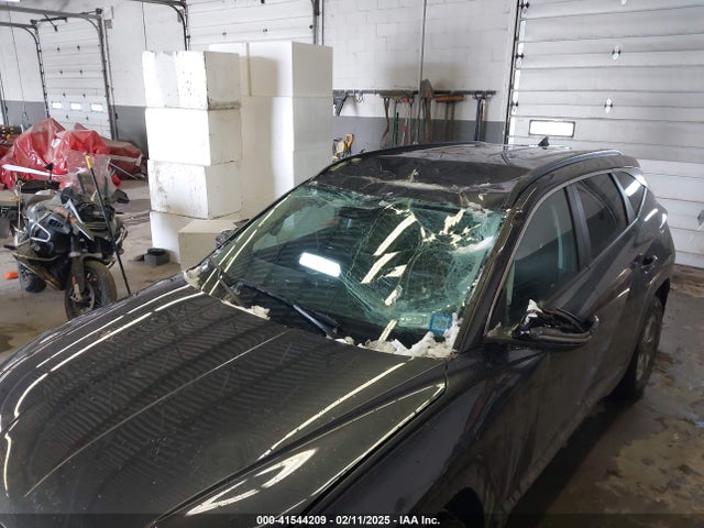Hyundai TUCSON SEL 2023 5NMJBCAEXPH281504 Image 6