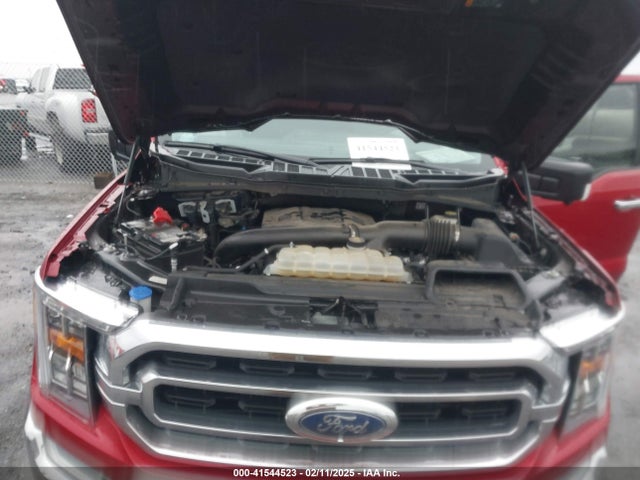 1FTFW1E84MKE97559 Ford F-150 Xlt