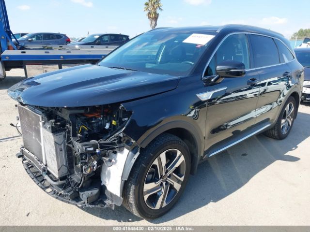 KNDRHDLG4P5193721 KIA Sorento Hybrid Ex