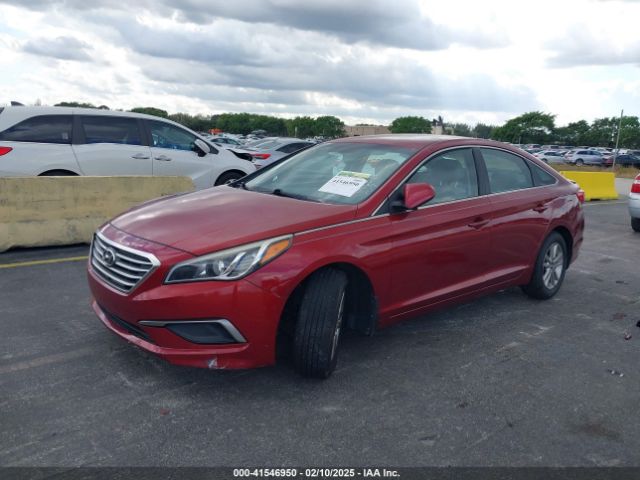 5NPE24AF4GH426684 Hyundai SONATA SE