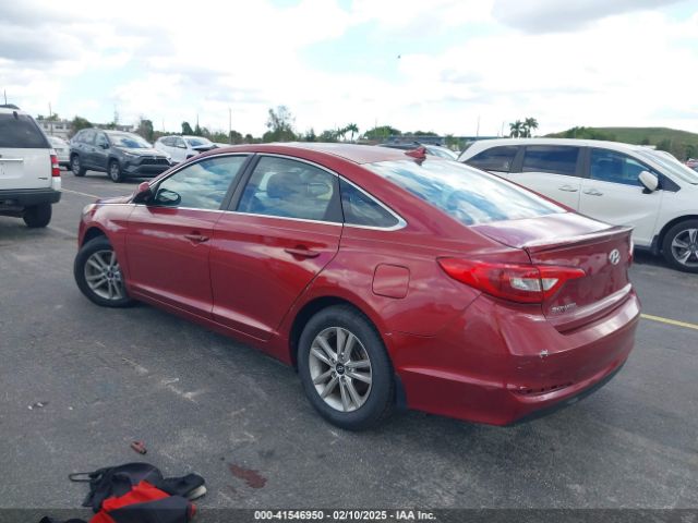 5NPE24AF4GH426684 Hyundai SONATA SE