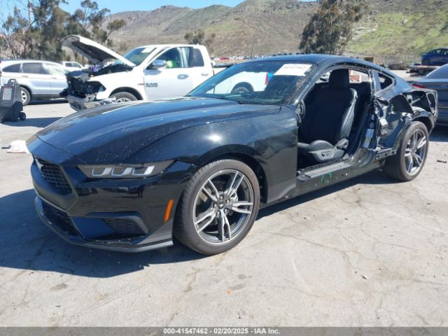 2024 FORD MUSTANG 1FA6P8TH5R5113972 Photo 1