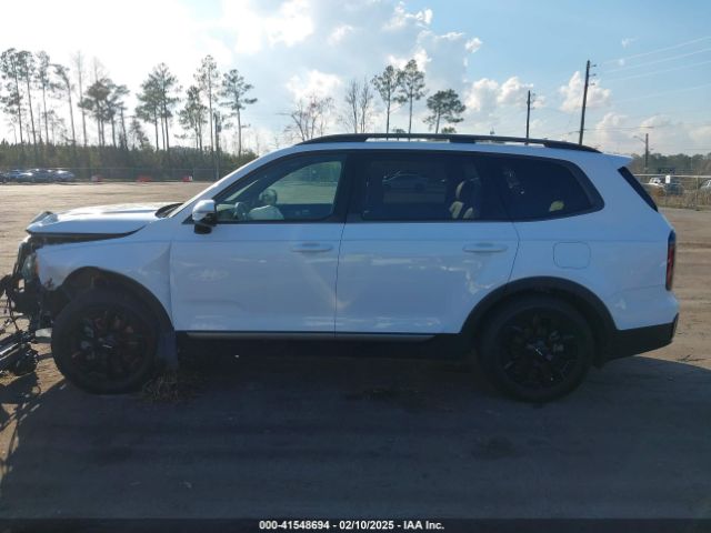 5XYP5DGC6PG351443 KIA Telluride Sx Prestige X-pro