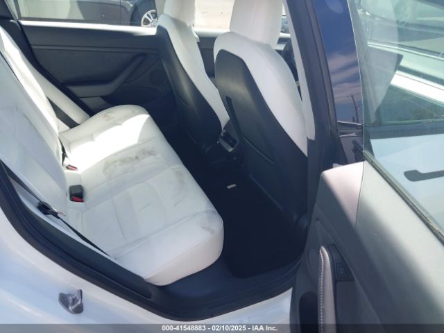 5YJ3E1EA1NF241533 Tesla 2022