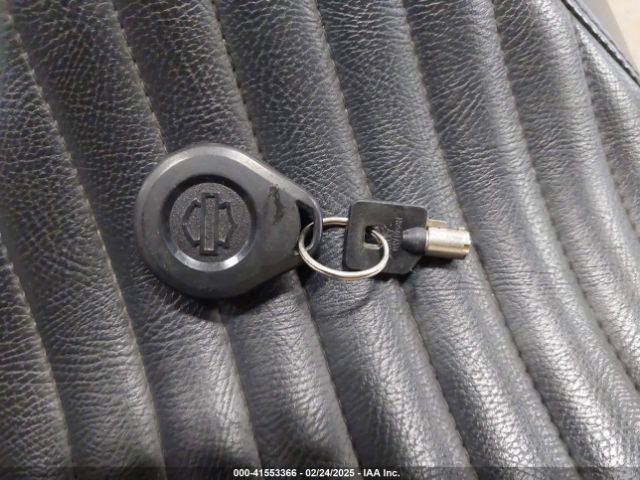 2015 HARLEY-DAVIDSON FLS 1HD1JRV18FB024811 Photo 10