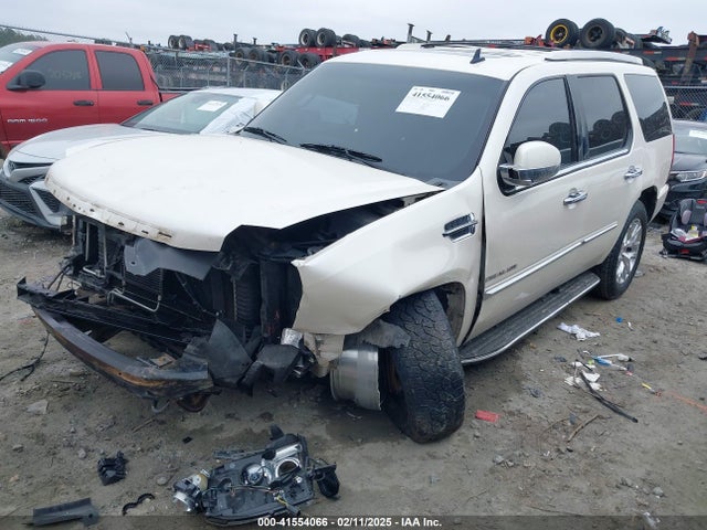 2013 CADILLAC ESCALADE 1GYS4BEF0DR247892 Photo 1