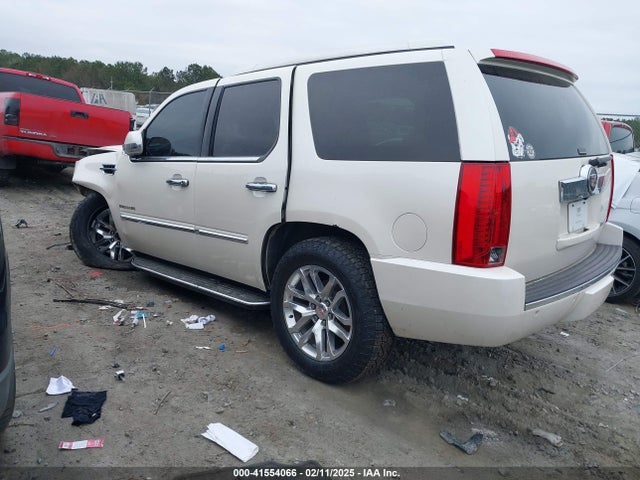 2013 CADILLAC ESCALADE 1GYS4BEF0DR247892 Photo 2