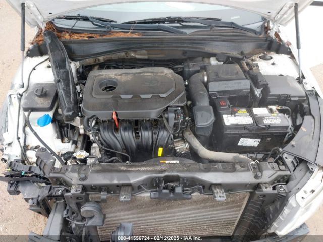 5XXGT4L33JG256331 KIA Optima Lx