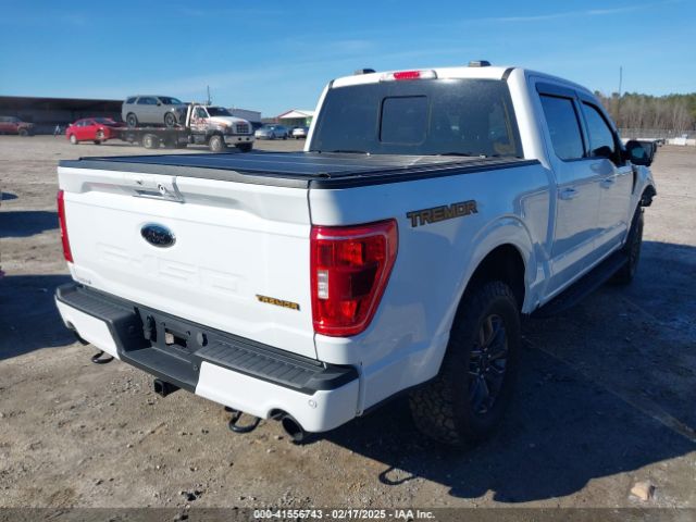 1FTEW1E80PFB02768 Ford F-150 Tremor
