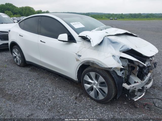 2023 TESLA MODEL Y 7SAYGDEE7PF596216