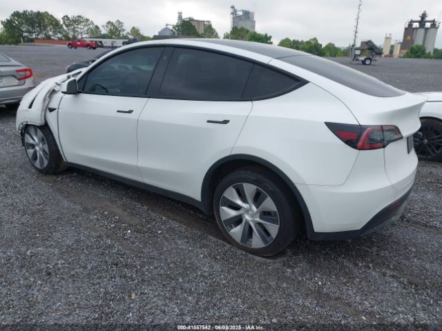 2023 TESLA MODEL Y 7SAYGDEE7PF596216 Photo 2