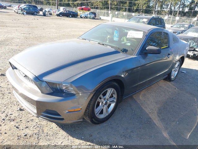 1ZVBP8AM3E5267564 Ford Mustang V6