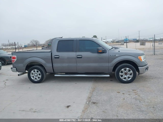 Ford F-150 Xlt 2014 1FTFW1CF1EKE30615 Image 13