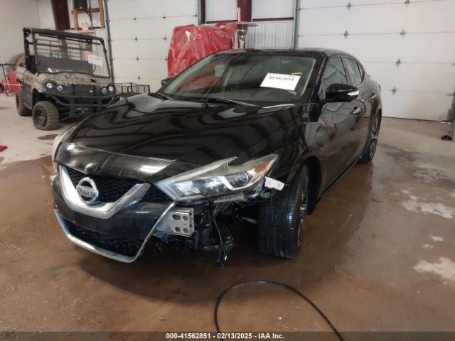 1N4AA6AP4HC451884 Nissan Maxima 3.5 Platinum