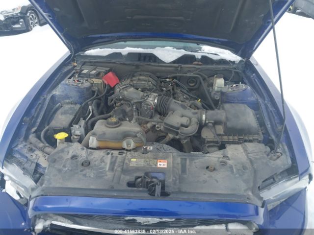 1ZVBP8AM5E5284169 Ford Mustang V6