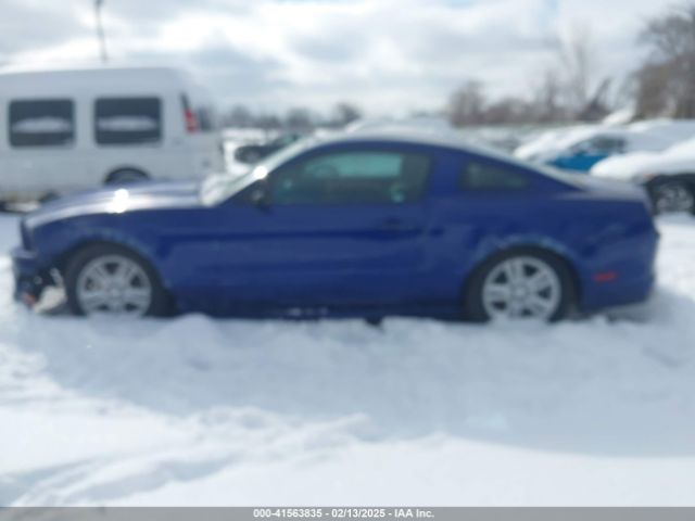 1ZVBP8AM5E5284169 Ford Mustang V6