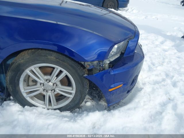 1ZVBP8AM5E5284169 Ford Mustang V6