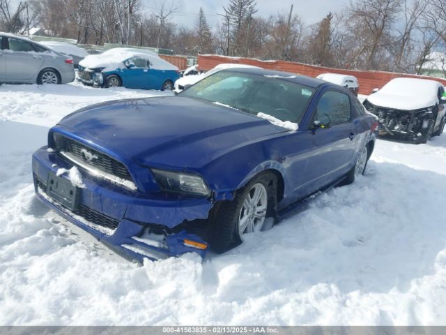 1ZVBP8AM5E5284169 Ford Mustang V6