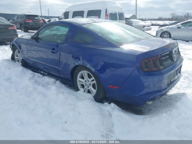 1ZVBP8AM5E5284169 Ford Mustang V6