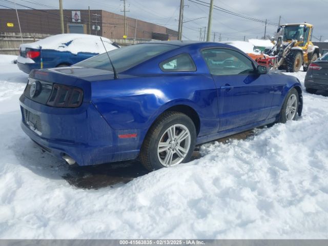 1ZVBP8AM5E5284169 Ford Mustang V6