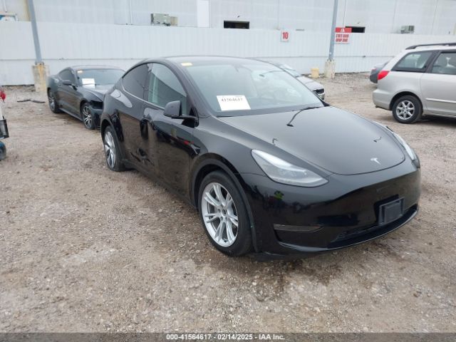 2023 TESLA MODEL Y 7SAYGDEEXPA181114 Photo 0