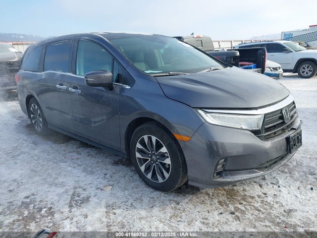 Honda Odyssey Ex-l 2024 5FNRL6H64RB049405 Image 1