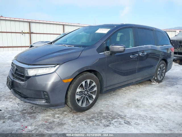 Honda Odyssey Ex-l 2024 5FNRL6H64RB049405 Image 2
