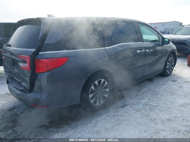 Honda Odyssey Ex-l 2024 5FNRL6H64RB049405 Image 4