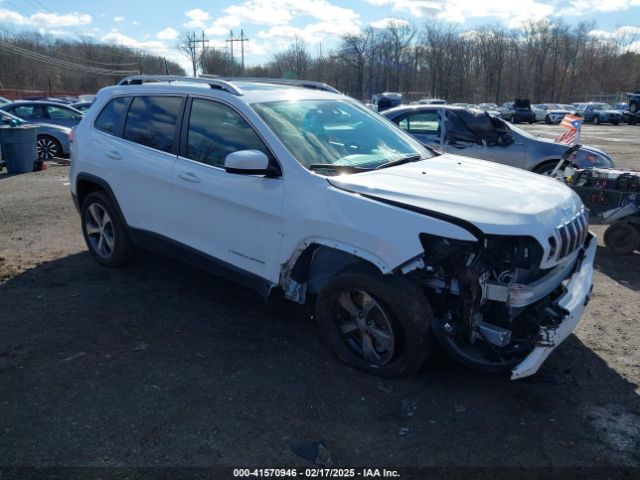 2019 JEEP CHEROKEE 1C4PJLDX3KD223133