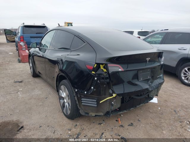 2023 TESLA MODEL Y 7SAYGDEE1PA187481 Photo 2
