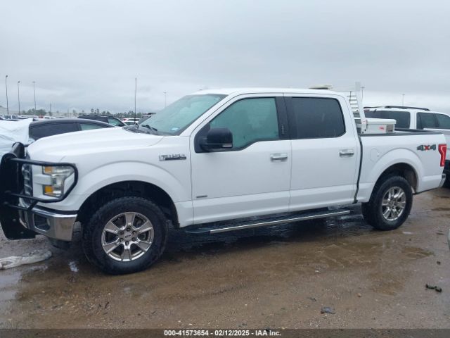 1FTEW1EG9FKF03328 Ford F-150 Xlt