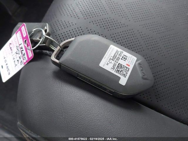 KIA Carnival Mpv Ex 2025 KNDNC5K39S6452353 Image 11