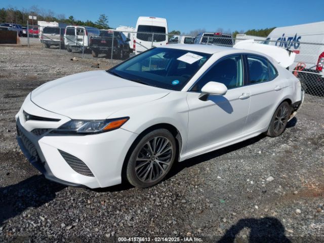 4T1M11AK4LU383146 Toyota CAMRY SE