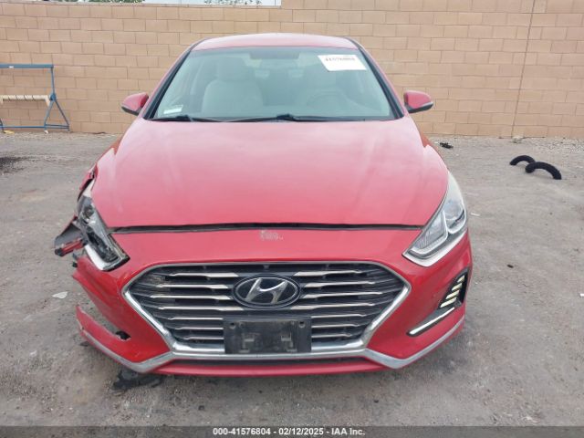 5NPE34AF5JH665214 Hyundai SONATA SEL