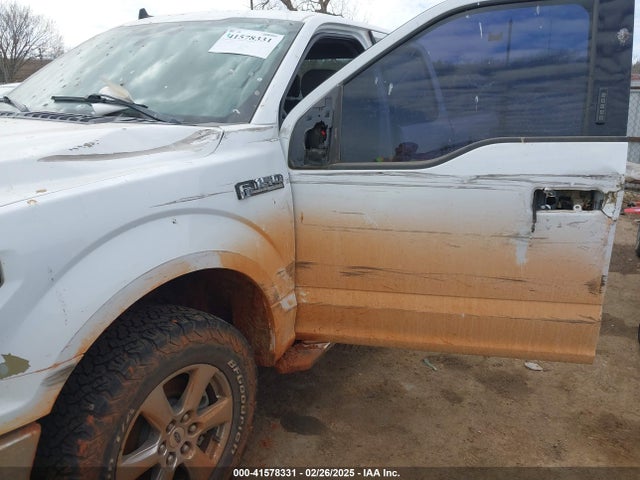 1FTFW1E43KKE83114 Ford F-150 Xlt