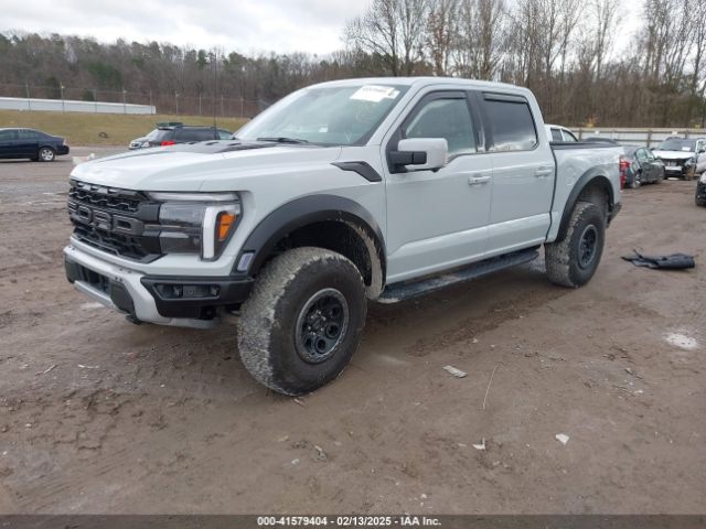 1FTFW1RG1RFB44939 Ford F-150 Raptor