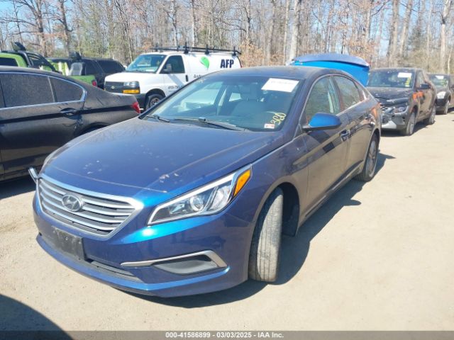 5NPE24AF6HH594716 Hyundai Sonata
