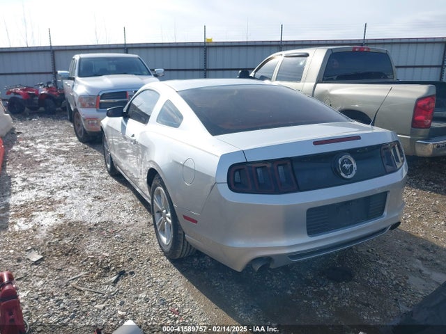Ford Mustang V6 2014 1ZVBP8AM9E5250137 Image 3