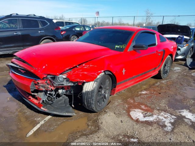 1ZVBP8AM7E5277465 Ford Mustang V6