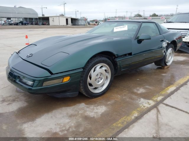 1996 CHEVROLET CORVETTE 1G1YY22P4T5113824 Photo 1
